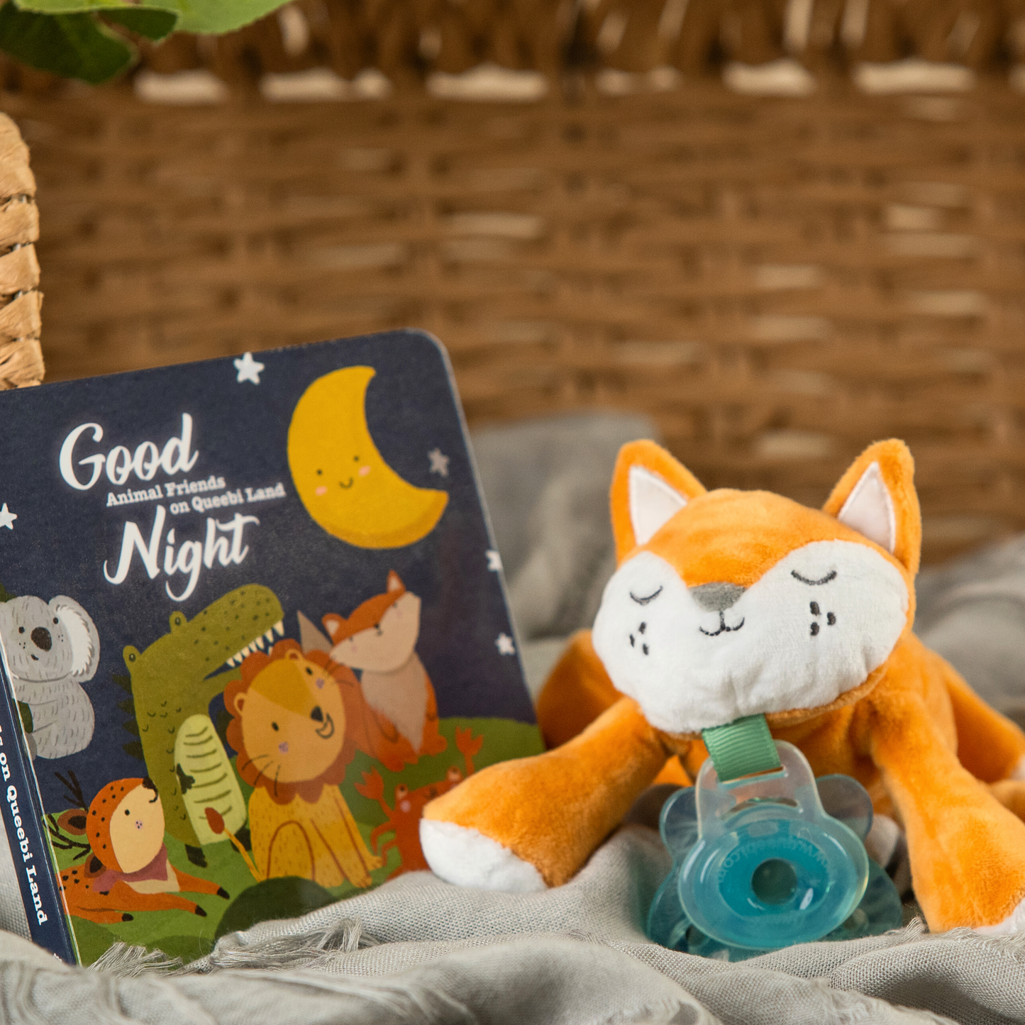 Sleep Baby Book Fox Gift Set