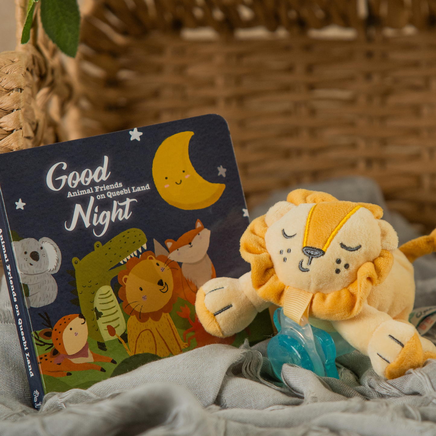 Sleep Baby Book Lion Gift Set