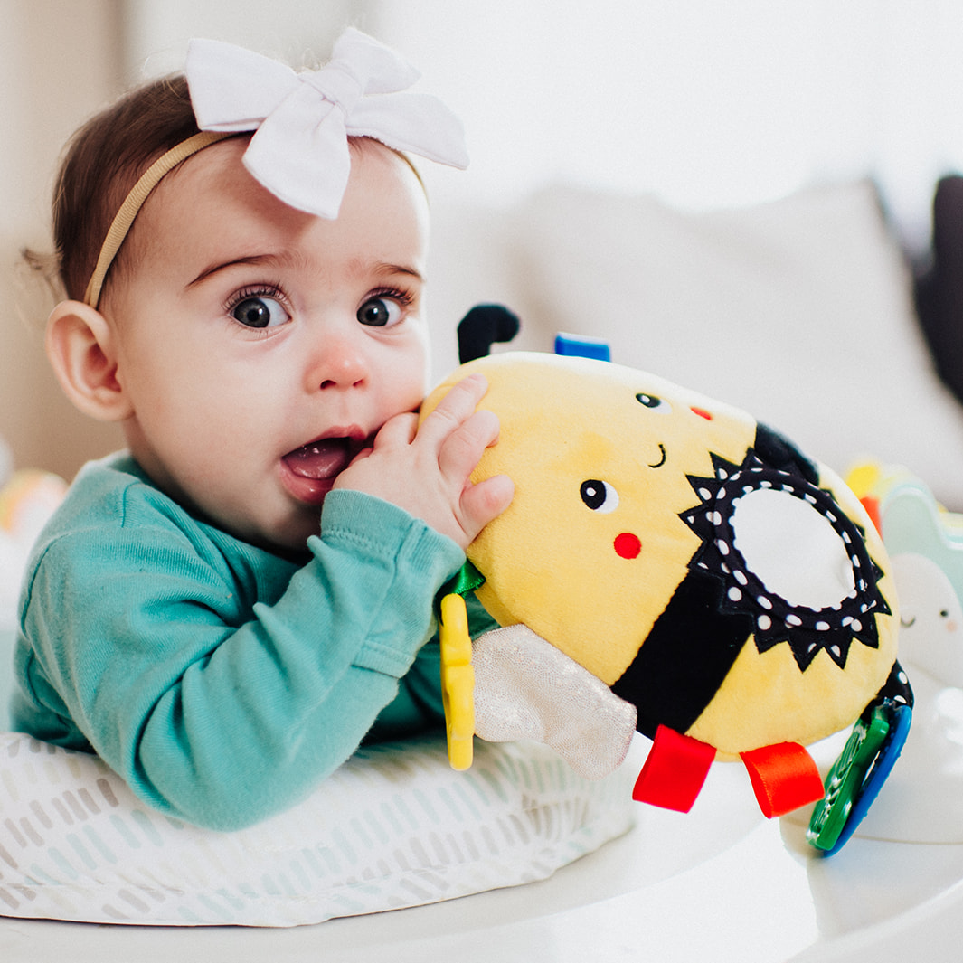 Squish 'N Play Activity Toys