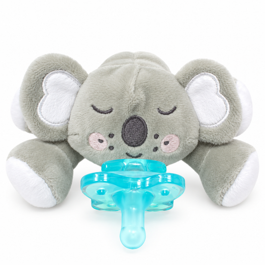 Queebi PaciBuddy Koala Pacifier Holder