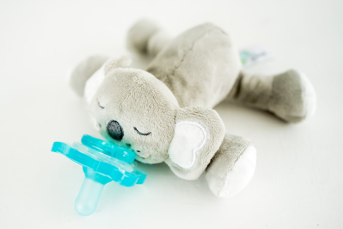 Queebi PaciBuddy Koala Pacifier Holder