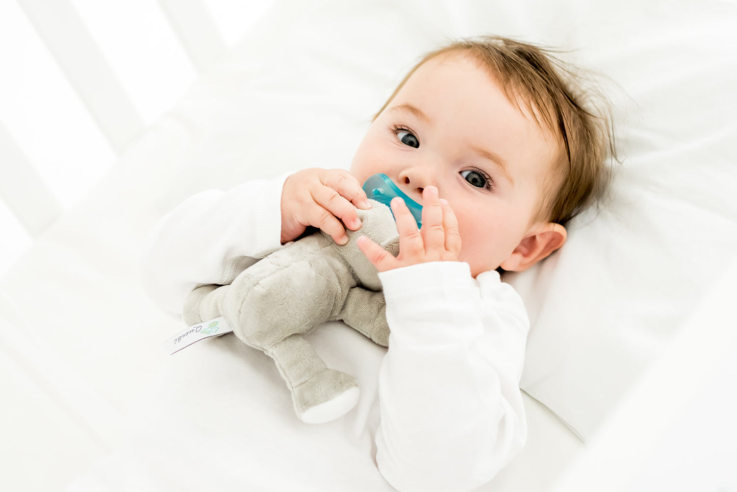 Queebi PaciBuddy Koala Pacifier Holder