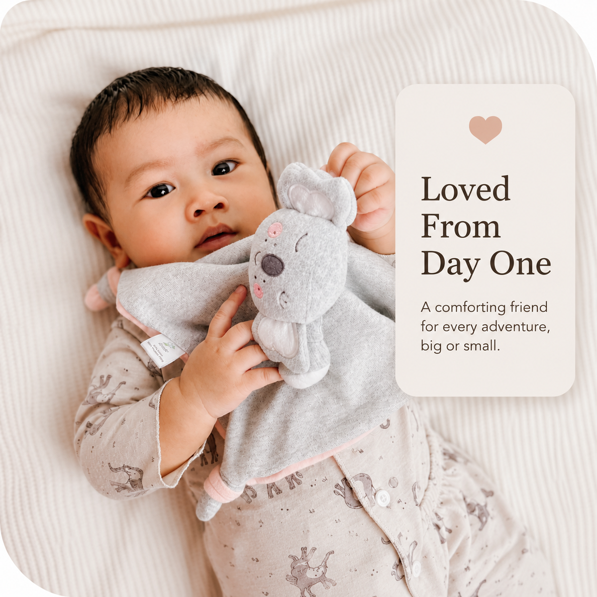 Queebi Koala Lovey Security Blanket