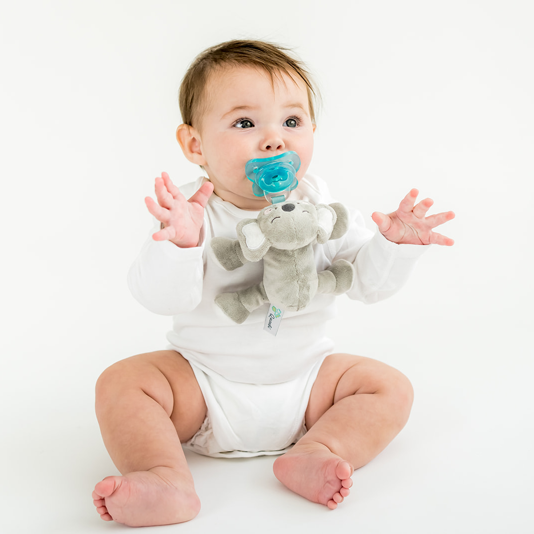 Queebi PaciBuddy Koala Pacifier Holder