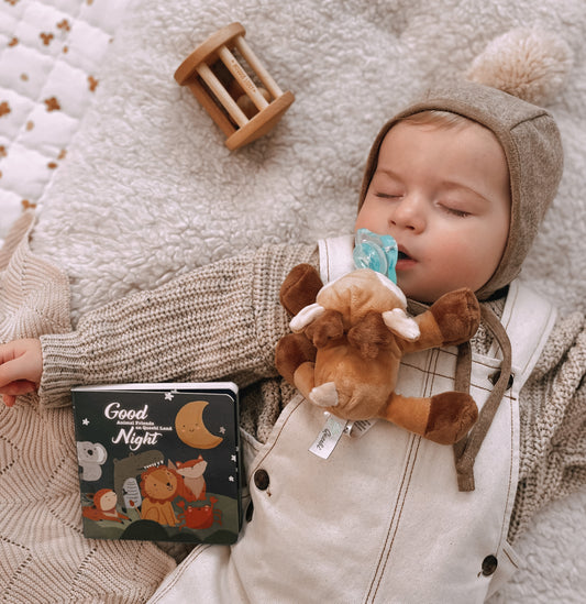 Sleep Baby Book Deer Gift Set