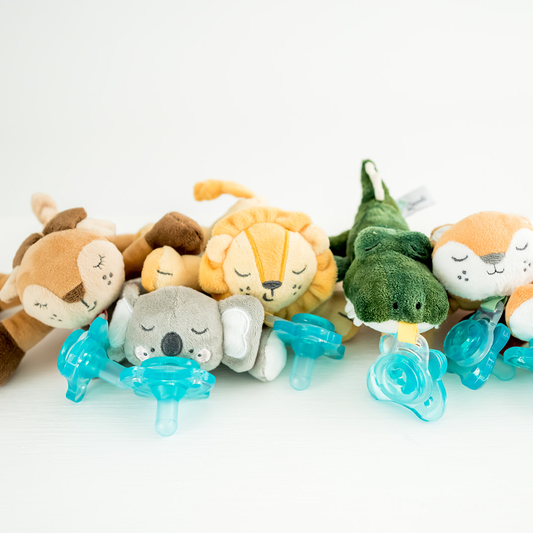Queebi PaciBuddy Crocodile Pacifier Holder