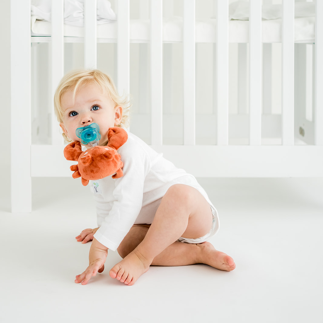 Queebi PaciBuddy Crab Pacifier Holder