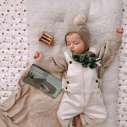 Sleep Baby Book Crocodile Gift Set